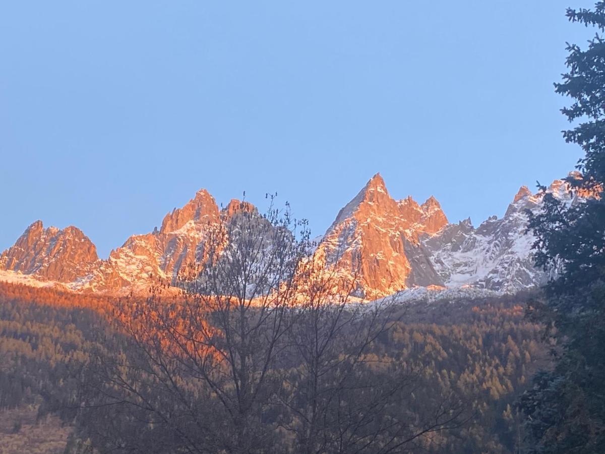Chamonix - Majestic Vue Mont Blanc 아파트 외부 사진